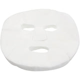Disposable Mesh Gauze Net Facial Masks