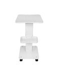 Spa Salon Beauty Equipment Trolley Cart - MasksńMore
