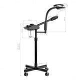UV Magnifying Lamp and Steamer